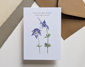 Può includere: Un biglietto di auguri con un'illustrazione ad acquerello di due fiori di Ancolie des Alpes, con petali viola e bianchi e steli verdi. Il biglietto riporta il testo "Ancolie des Alpes Aquilegia alpina". Buste marroni sullo sfondo.