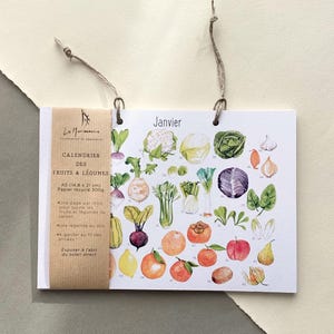 Puede incluir: Calendario colgante con ilustraciones de acuarela de frutas y verduras. El calendario dice "Janvier" y muestra coliflor, repollo y manzanas. El calendario es de tamaño A5 (14,8 x 21 cm).