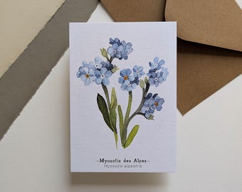 May include: A white greeting card featuring a watercolor illustration of blue forget-me-not flowers with green leaves. The card includes the text "-Myosotis des Alpes- Myosotis alpestris". Brown envelopes are visible in the background.