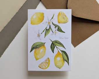 May include: Watercolor illustration of lemons, blossoms, and leaves on a white card. The card features whole and sliced lemons, white blossoms, and green leaves. The text "Citrus limon" is written on the card. Brown envelopes are in the background.