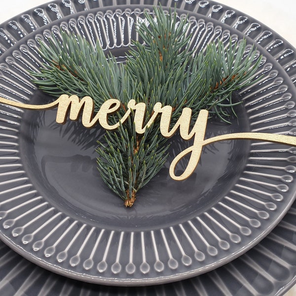 Merry Place Cards, Custom Christmas Place cards, Personalized Dinner Place Setting, Winter wedding Table Decor, Belive Holly Jolly