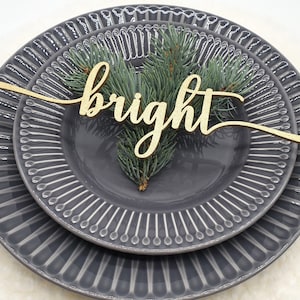 Tarjetas Bright Place, Tarjetas personalizadas de Navidad Place, Configuración personalizada del lugar para cenar, Decoración de la mesa de bodas de invierno, Merry Holly Jolly Noel
