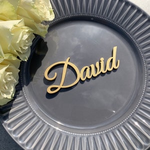 Hochzeit Tischkarten, personalisierte Dinner Namensschilder, hölzerne Geleitkarten, Tischdekoration, benutzerdefinierte Gedeck Tags, Gold