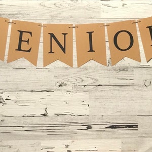 Senior banner, 2024, senior graduation banner, graduation banner, senior photo prop, class of 2024, senior