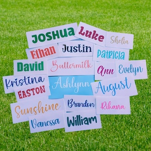 May include: A collection of rectangular white and light blue labels featuring various names printed in diverse fonts and colors, including Joshua, Luke, Shelia, Ethan, Justin, Patricia, David, Buttermilk, Ann, Evelyn, Kristina, Ashlynn, Easton, August, Sunshine, Brandon, Rihana, Vanessa, and William.