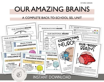 Brains SEL Mini Lesson, Anatomy, Emotional Regulation (Instant Download)
