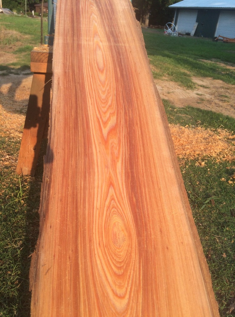 Heart and Sinker Cypress Lumber Etsy