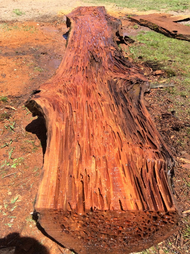 Pecky Cypress Lumber Etsy