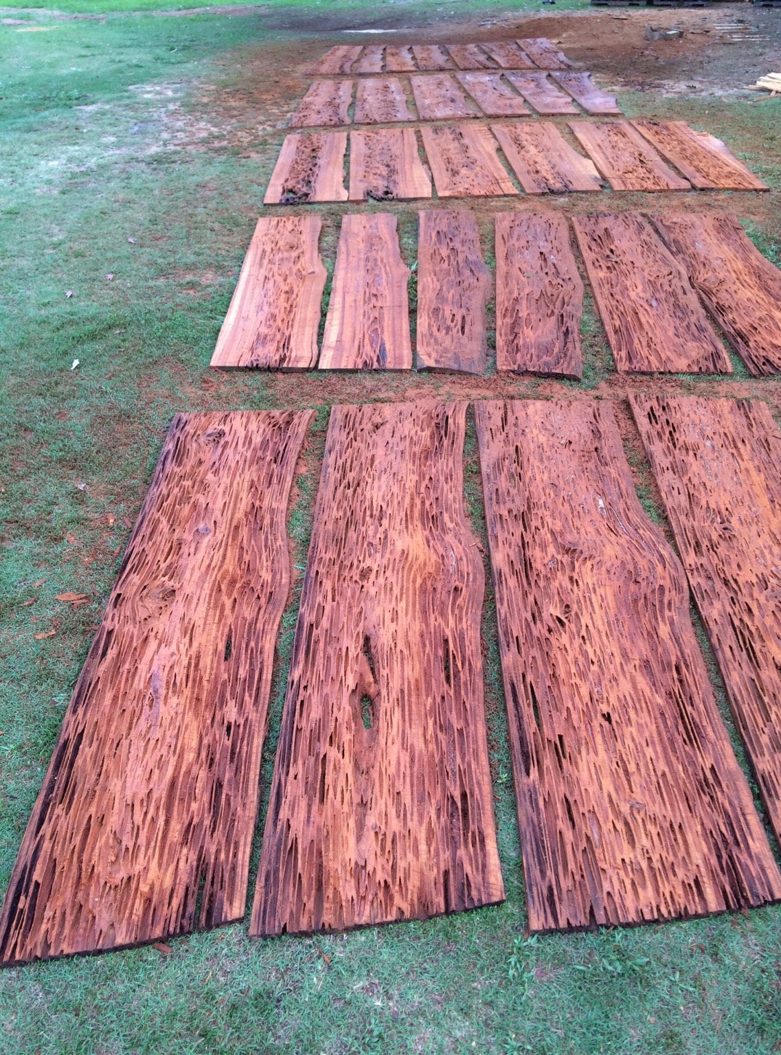 Pecky Cypress Lumber Etsy