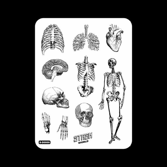Vintage Anatomy Sticker Sheet Planner Stickers for Journals | Etsy
