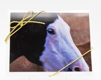 Blank Note Cards, 4-Pack, Mustang Portrait, White Face Horse, Horse Rescue, Stationery
