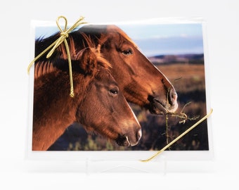 Blank Note Cards, 4-Pack, Mare and Filly/Colt, Wild Horse, Horse Rescue, Stationery