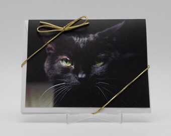 Blank Note Cards, Greeting Cards, 4-Card Pack, Card Gift Set, Black Cat, Kitty, Matte Finish