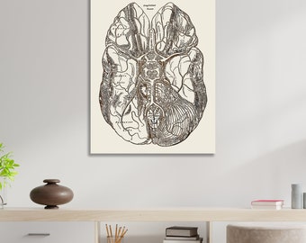 Gray's Anatomy Brain| Wood Wall Decor