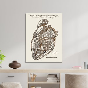 Gray&#39;s Anatomy Heart Wood Art: Anatomical Wall Decor