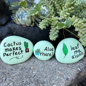 Planter stones set of 3 hand painted