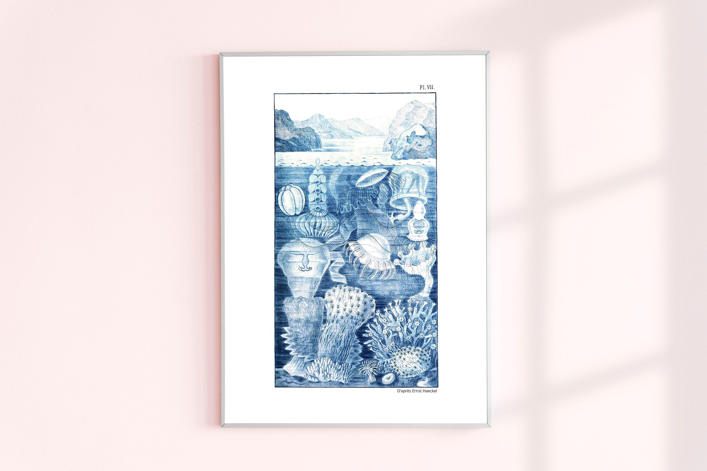 Affiche Haeckel Indigo Vie Marine | Algue, Poisson, Anémone, Méduse... Dessin Ernst - Tirage Encre e
