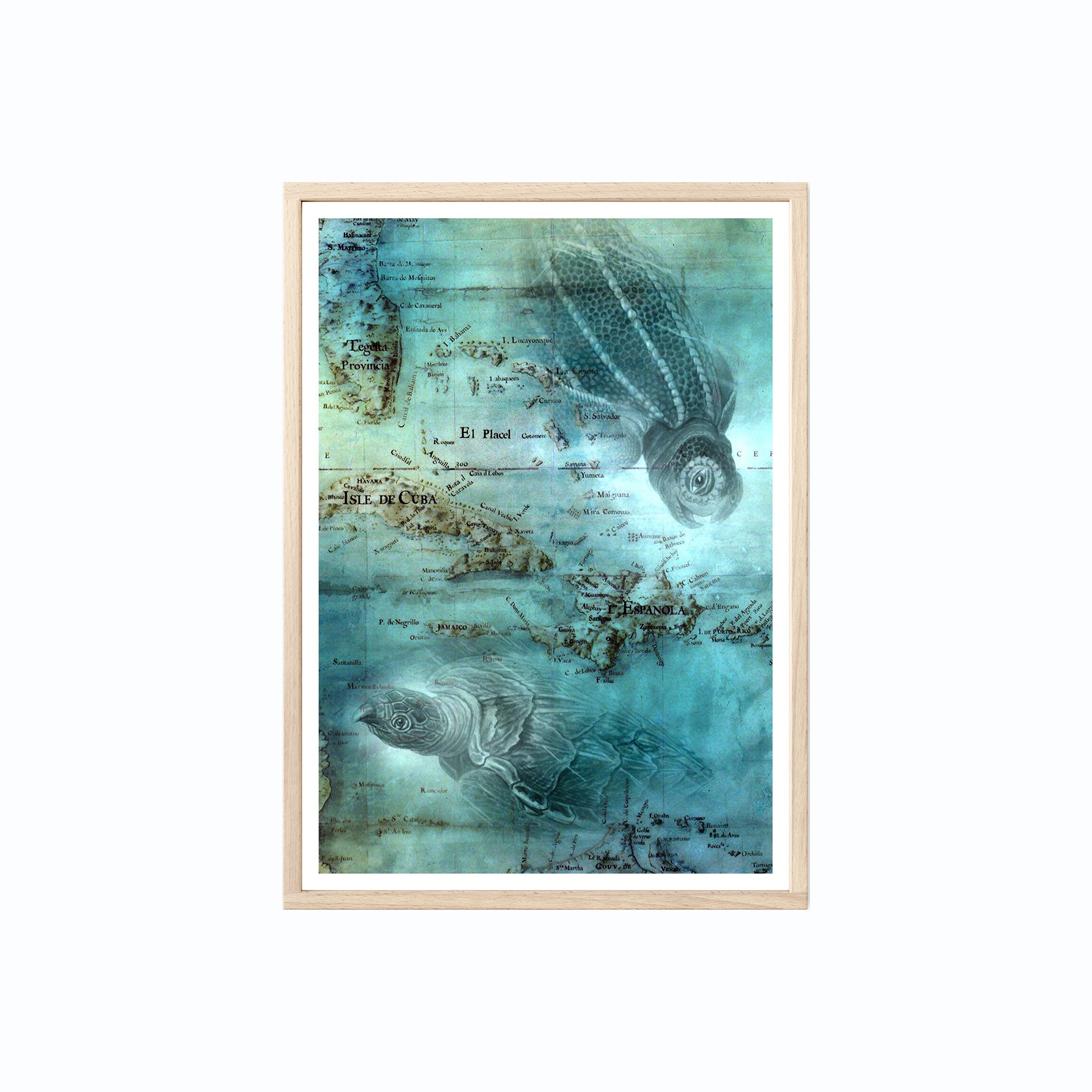 Affiche - Tortues, Caraïbes | Cuba & Ancienne Carte Collage Tirage Qualité Art