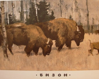 Sovjet Russische POSTER Bizon Buffalo door Nikolsky G. USSR kinderen illustratie dier