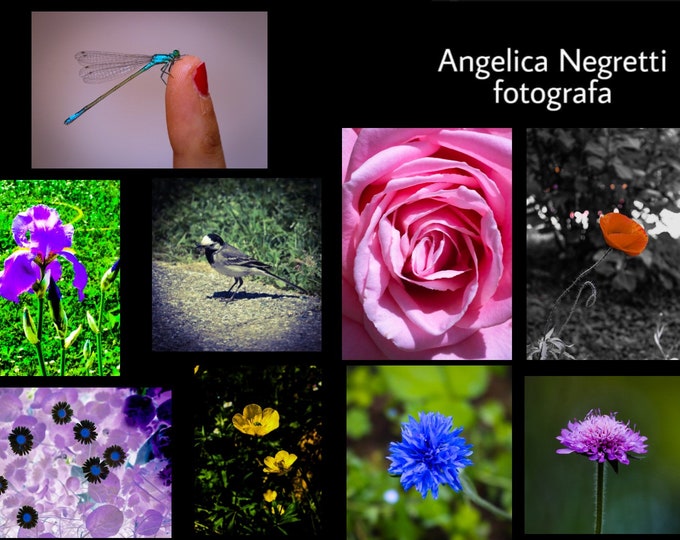 Photo Prints - Angelica Negretti (Photograph)