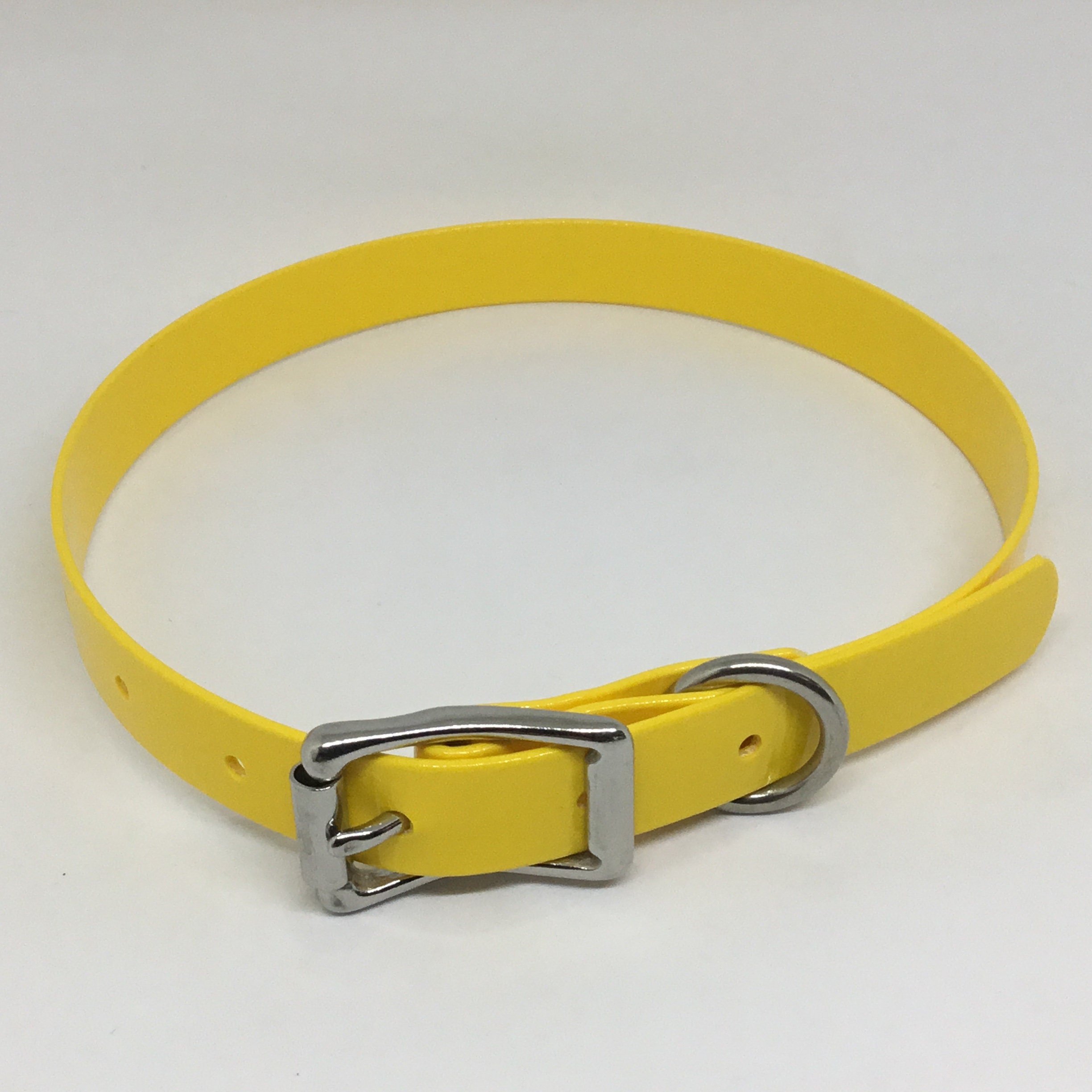 BioThane High Flex Lightweight Flat Buckle Dog Collar with Etsy