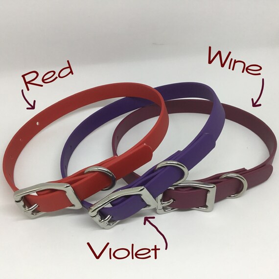 flat buckle dog collar