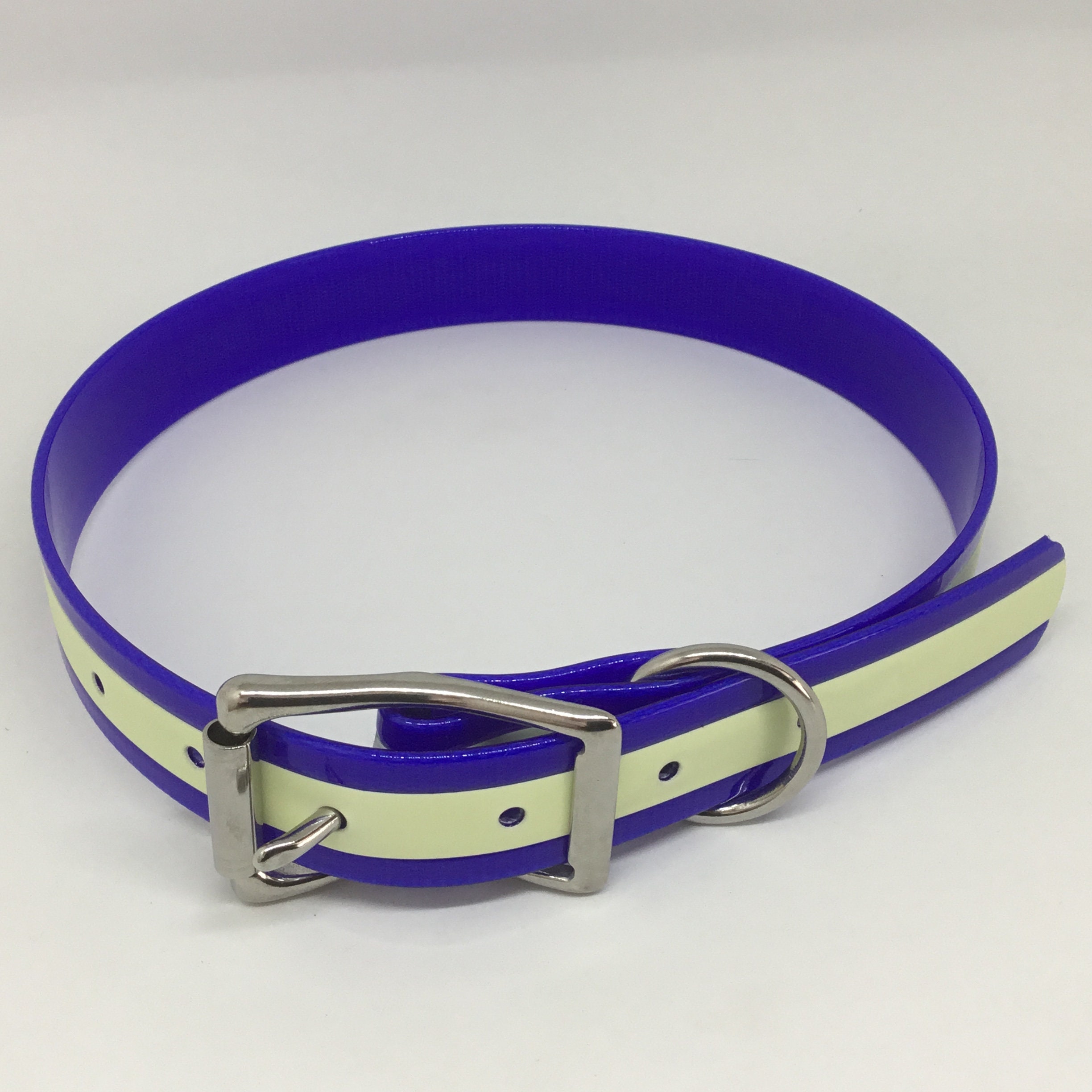 flat buckle dog collar