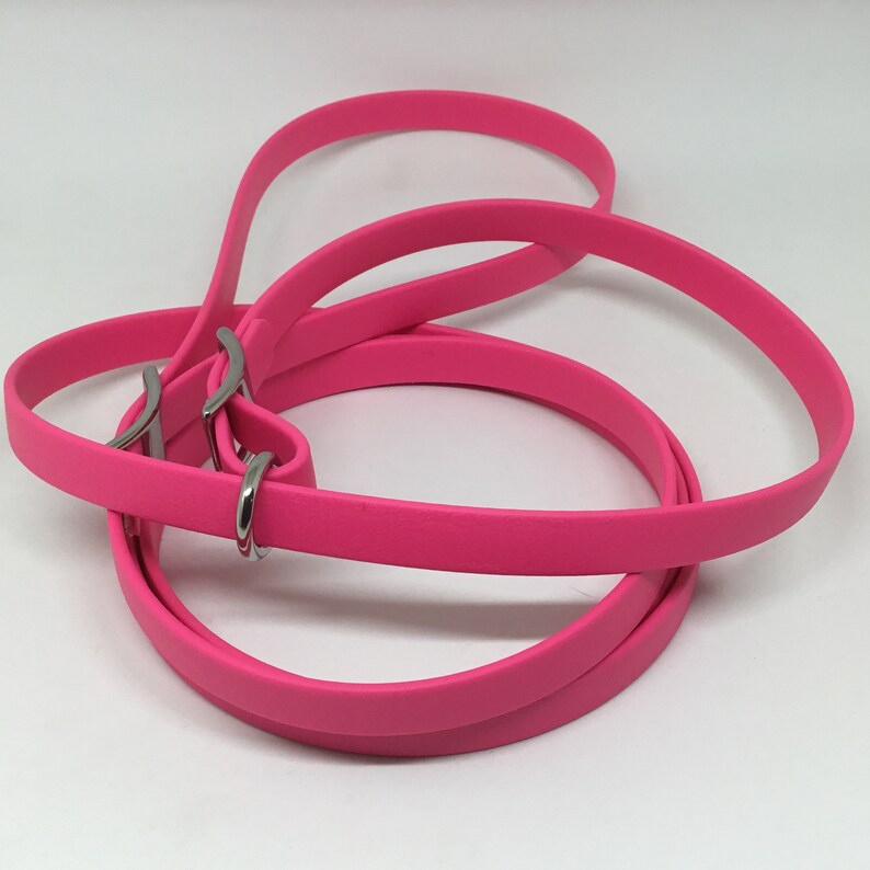 Beta Biothane 1/2 Wide Dog Slip Leash With Stainless Etsy