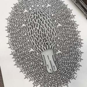 Blossom Art Print