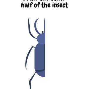 Insect Worksheet, Draw the Other Half of the Insect, 8 Page Bundle ...