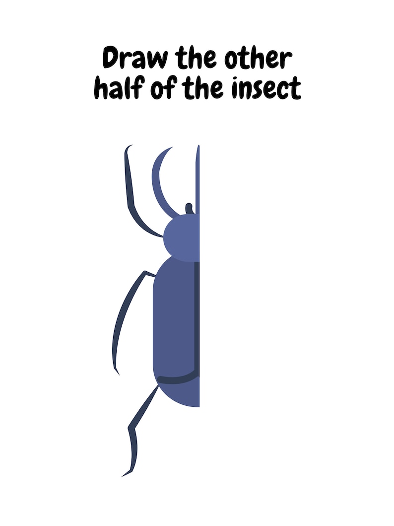 Insect Worksheet, Draw the Other Half of the Insect, 8 Page Bundle ...
