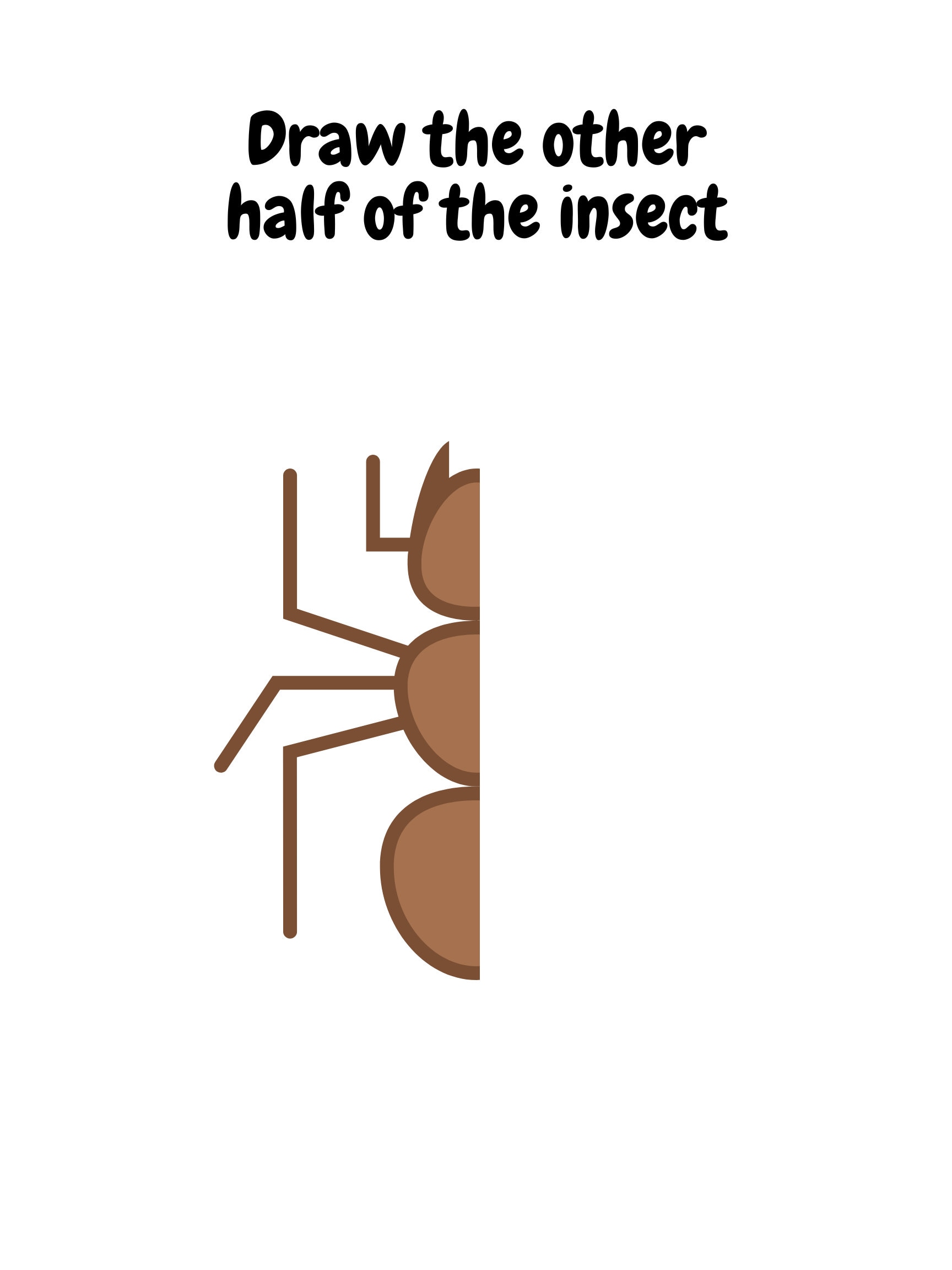 Insect Worksheet, Draw the Other Half of the Insect, 8 Page Bundle ...
