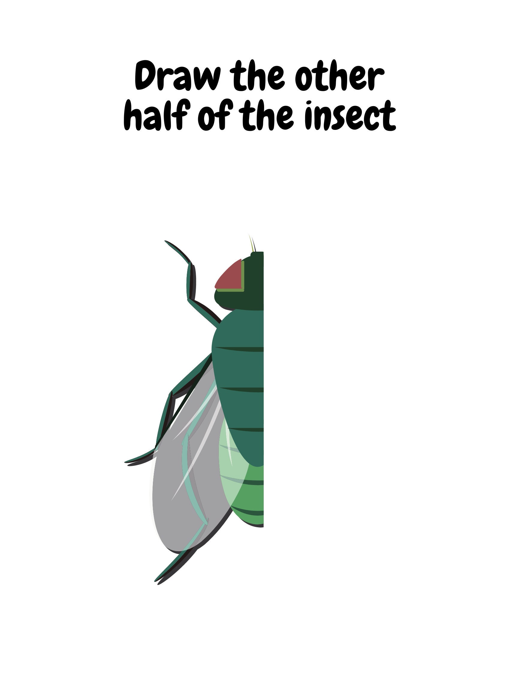 Half Insect Drawings Insect Worksheet, Draw the Other Half of the Insect, 8 Page Bundle ...