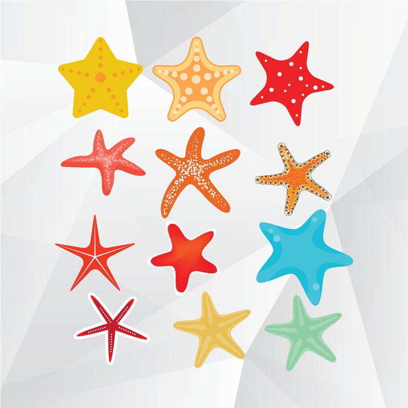 étoile De Mer Svg Png Jpgétoile De Mer Clipart Pour Impression Design Silhouette Cricut Et Plus