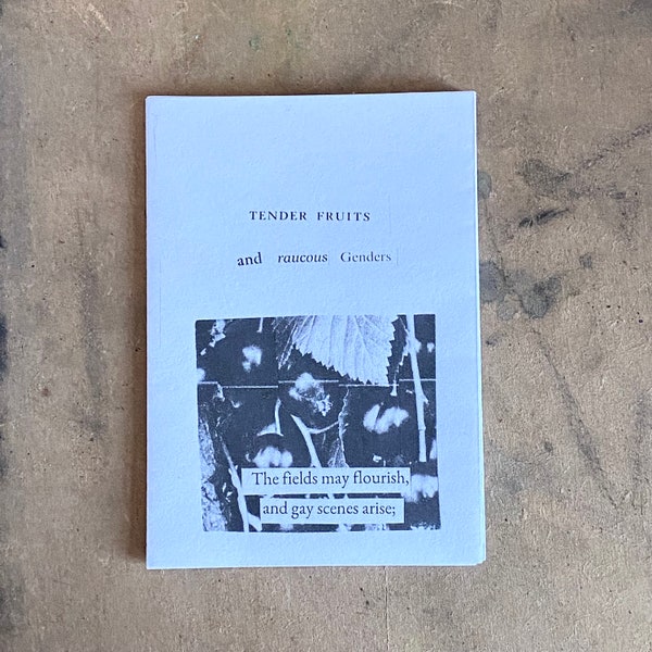 Fruits tendres | Mini zine homosexuel A7