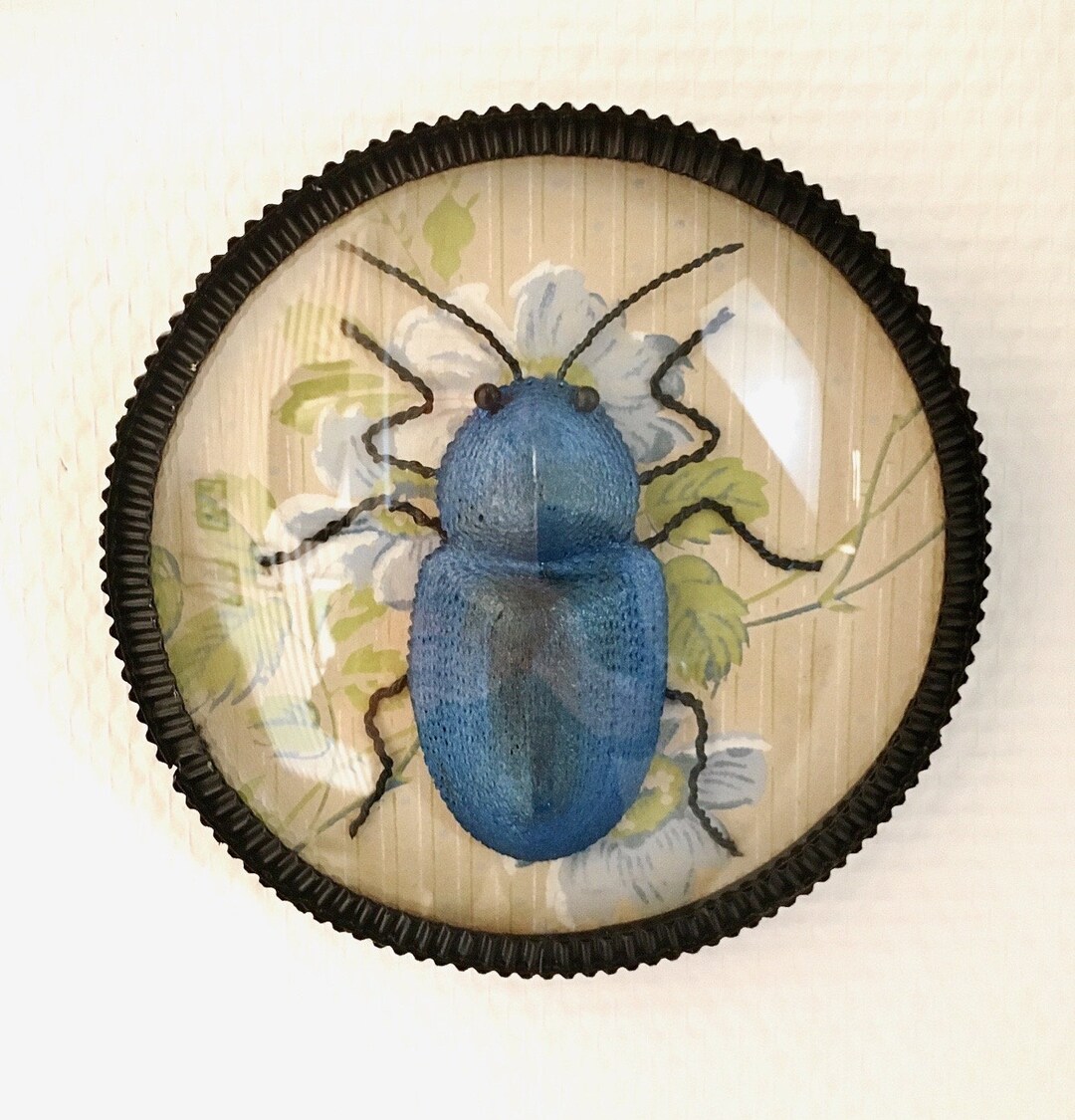 Decorative Insect Frame - Etsy