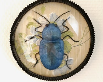 Cadre décoratif insecte