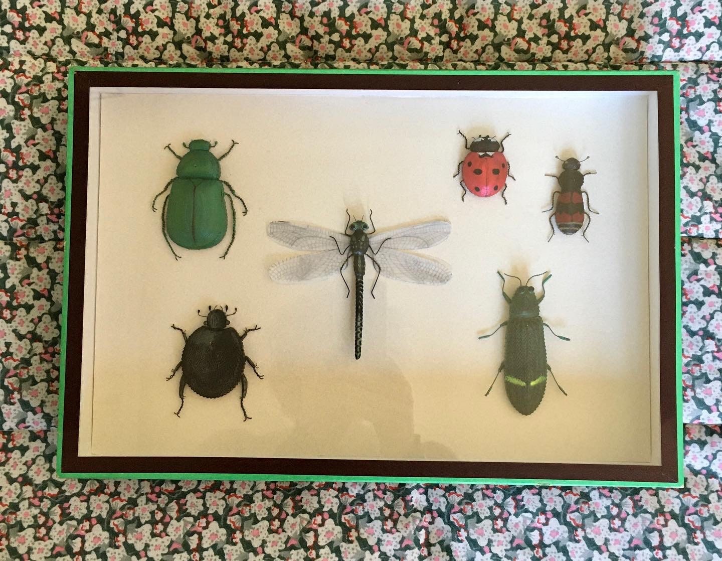 Boîte à Insectes