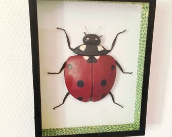 Cadre coccinelle