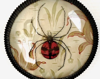 Cadre décoratif araignée