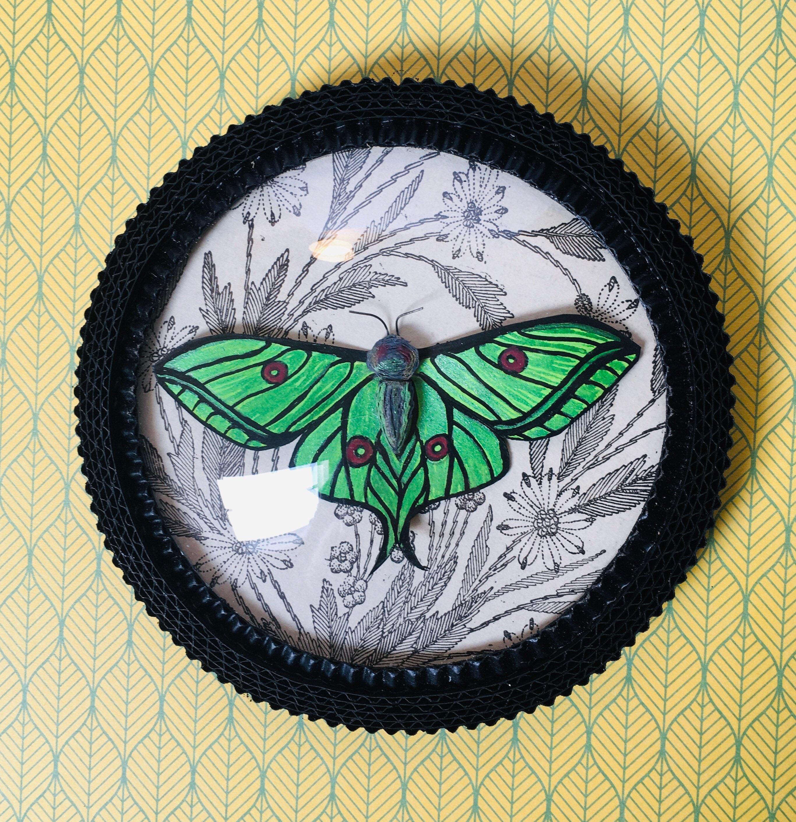 Papillon en Carton Encadré