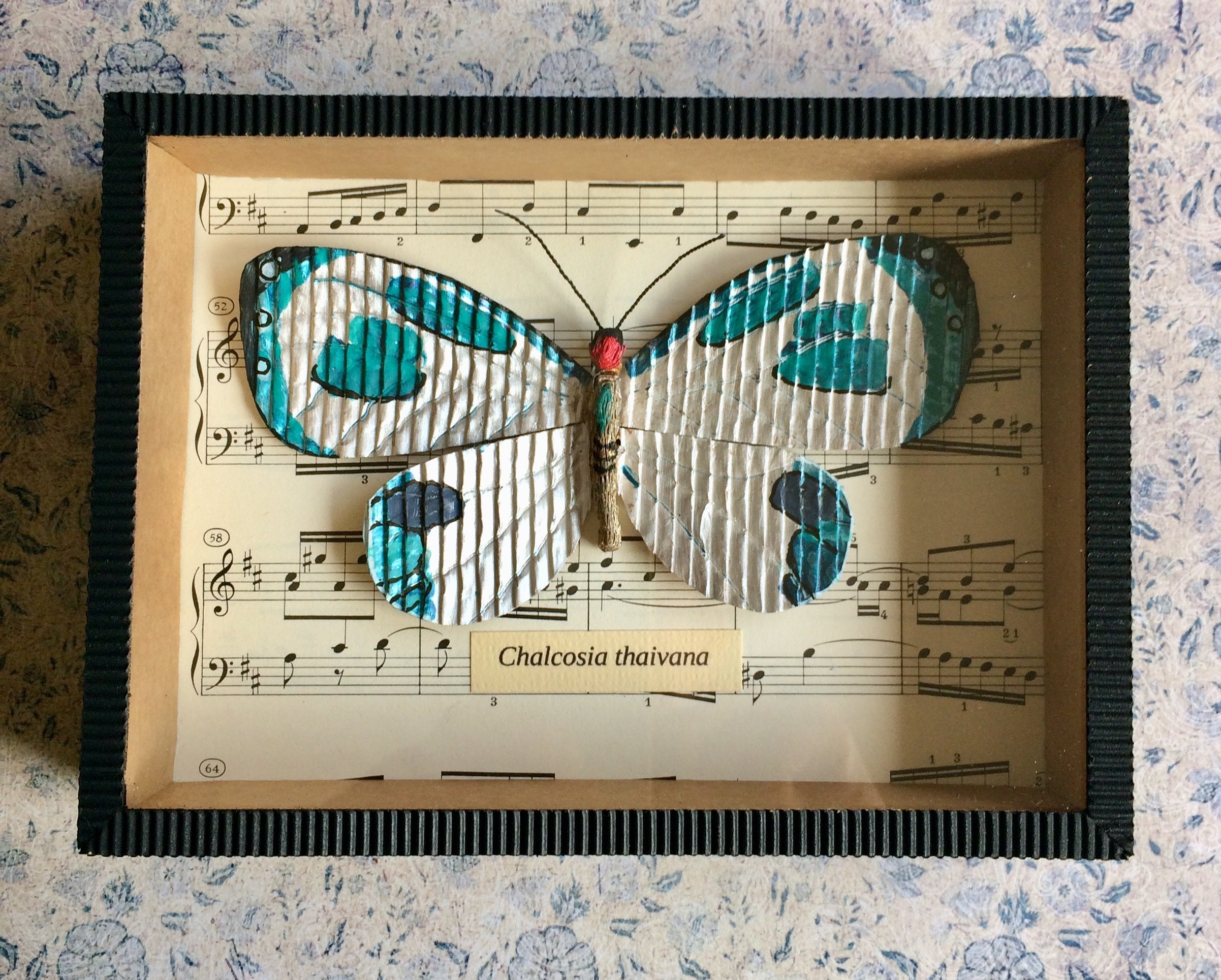 Papillon en Carton Encadré