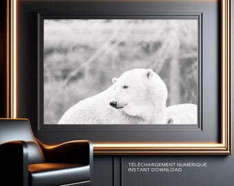 Polar Bear in Snow Bear Print Instant Download White Bear Poster Winter Wall Art Bear Portrait Wild bear Wildlife Photography prints Decor
