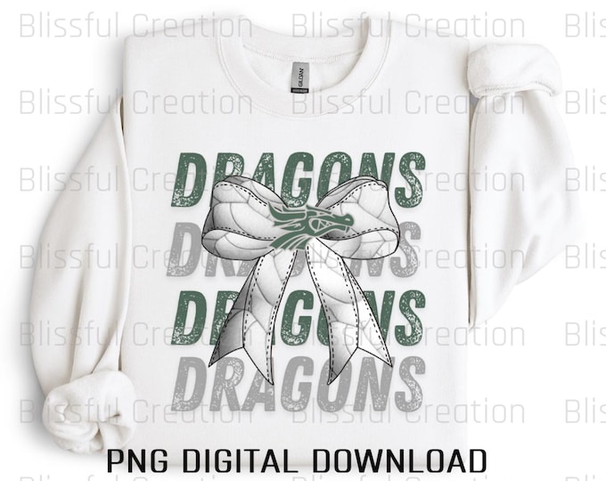 Dragons Volleyball PNG