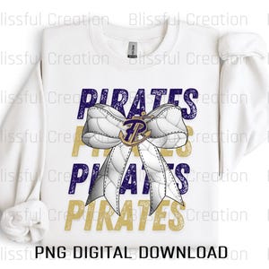 Pirates Volleyball PNG
