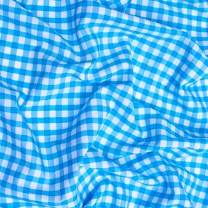 May include: A close-up shot of a blue and white gingham fabric. The fabric is heavily wrinkled, creating a sense of depth and texture. The pattern is a classic, small-scale check, with the blue squares being a vibrant, bright shade.