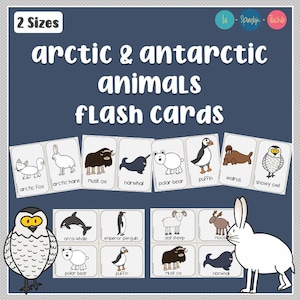 Arctic and Antarctic Animals Flashcards, Animal Vocabulary Cards, Winter Flashcards, Preschool Activities, Kids Card Games, Early Learning