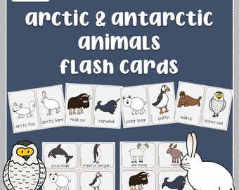 Arctic and Antarctic Animals Flashcards, Animal Vocabulary Cards, Winter Flashcards, Preschool Activities, Kids Card Games, Early Learning