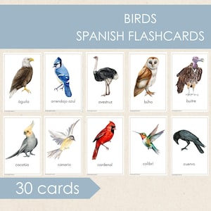 Spanish Kinds of Birds Flashcards, Educational Printable Cards, Spanish Vocabulary Cards, Montessori Materials,Nature Cards