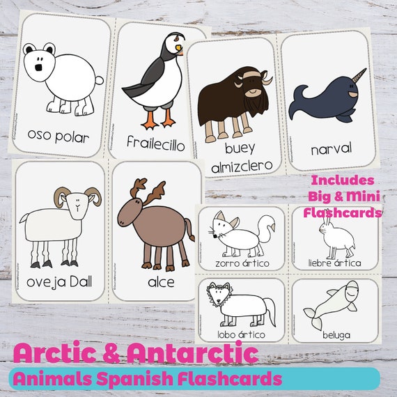 Arctic Animals Spanish Flashcards Preschool Printables Etsy Arctic Animals Spanish Flashcards Preschool Printables Etsy